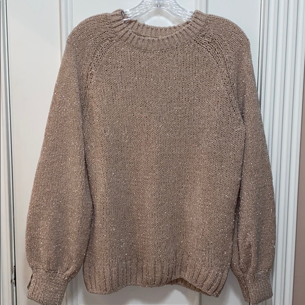 Sparkly Sweater